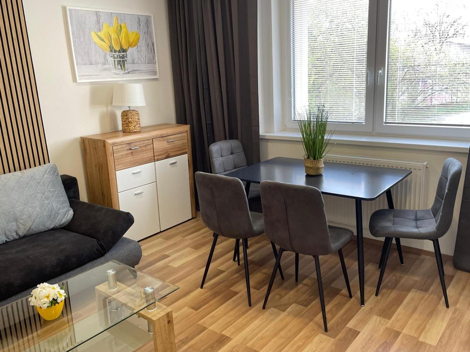 Apartmán Aparthotel Praha Prague